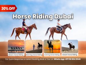 Read more about the article Horse Riding Dubai