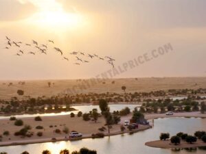 Al Qudra Lakes within the Dubai desert safari is an artificial wetland that is appealing as an escape from the city rush.