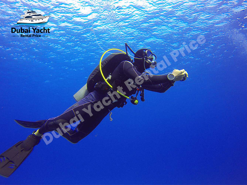 Dubai scuba-diving Tour with Dubai Yacht Rental Price (3)